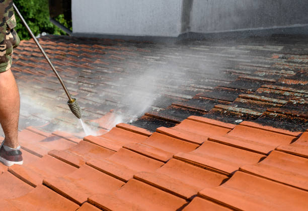 Best Residential Pressure Washing Services  in Chickasaw, AL