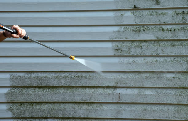 Best Pressure Washing Contractors  in Chickasaw, AL