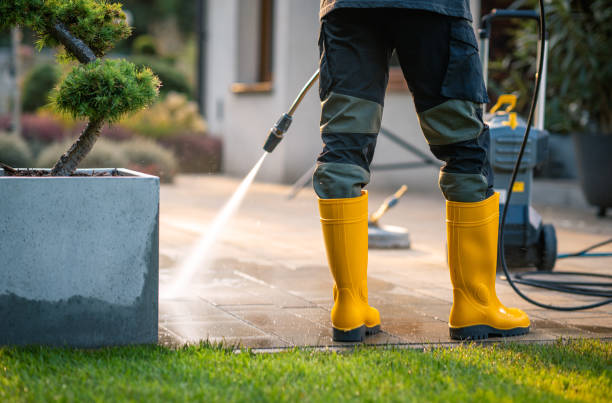 Best House Pressure Washing  in Chickasaw, AL